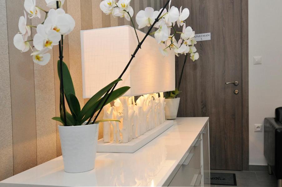 Silver Beach Apartments Σίοφοκ Εξωτερικό φωτογραφία